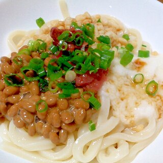 納豆、とろろの梅冷やしうどん